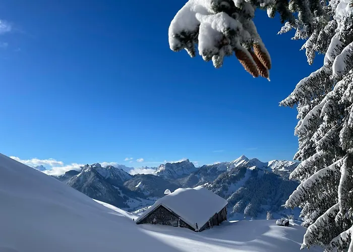 בית נופש Stockberghuesli Nesslau