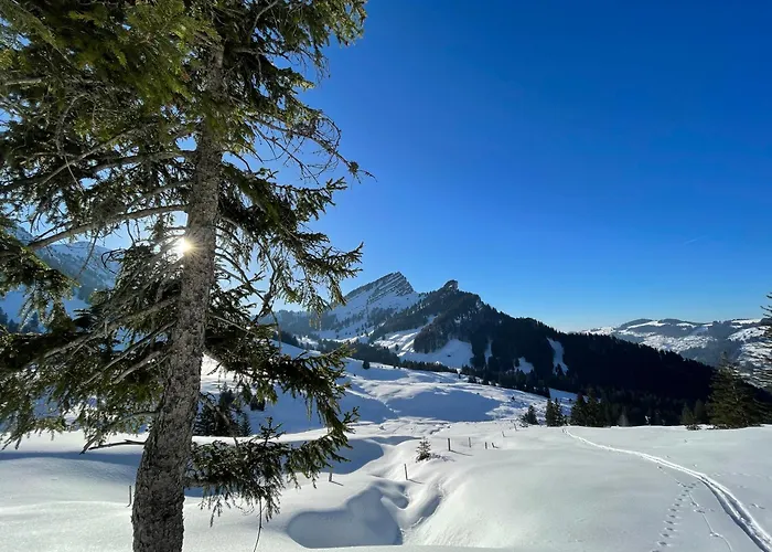 Casa de Férias Stockberghuesli Nesslau