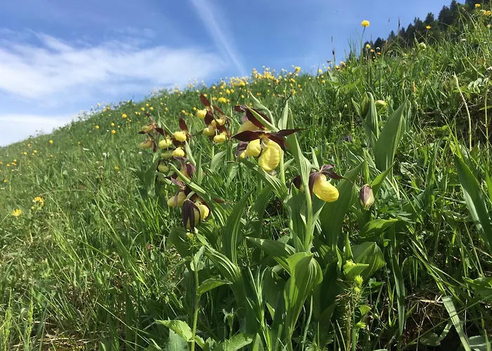 Stockberghuesli Casa de Férias Nesslau