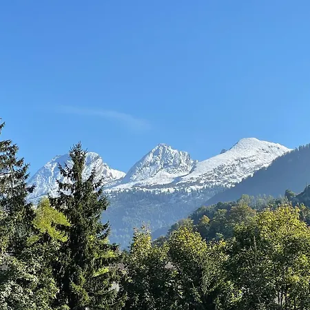 Stockberghuesli Holiday home *