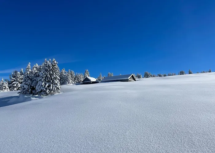 Holiday home Stockberghuesli Nesslau